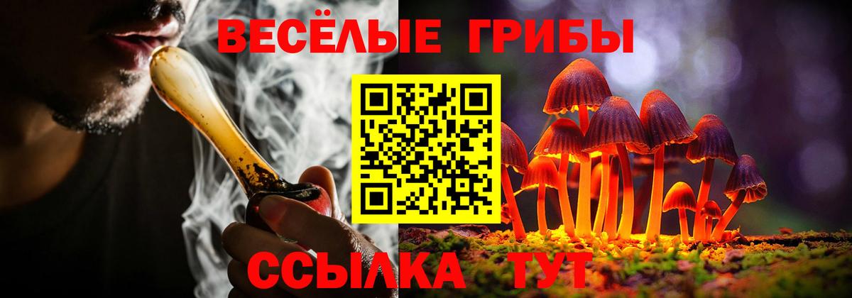 Галлюциногенные грибы Cubensis Шахты